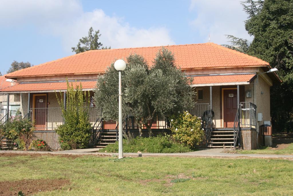 Ein Zivan Village Resort Szoba fotó
