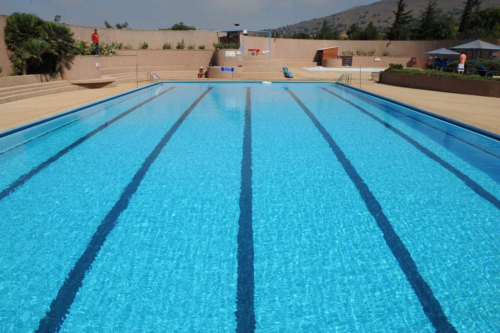 Ein Zivan Village Resort Szoba fotó