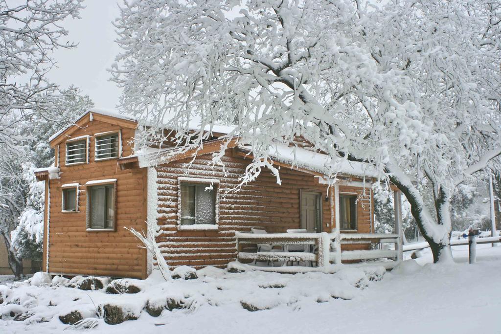 Ein Zivan Village Resort Szoba fotó